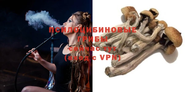 амфетамин Гусь-Хрустальный