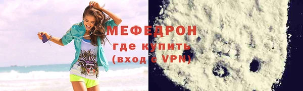индика Гусев