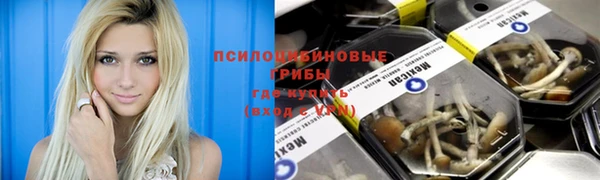 а пвп мука Гусиноозёрск