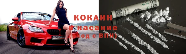 индика Гусев