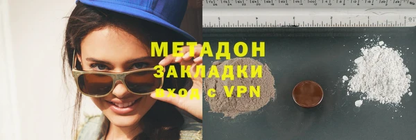 индика Гусев