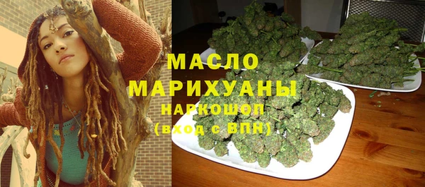 индика Гусев