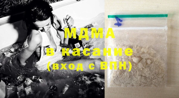 индика Гусев