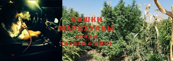 индика Гусев