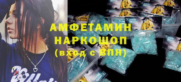 индика Гусев