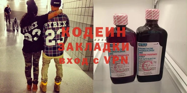 индика Гусев