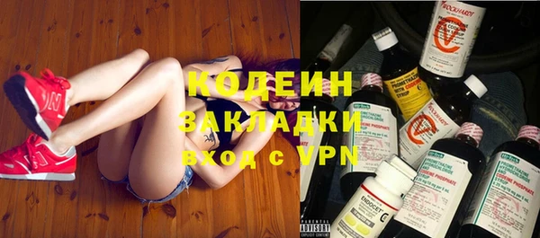 индика Гусев