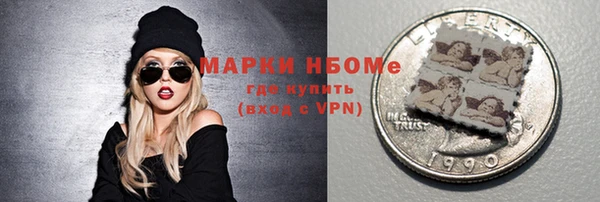 индика Гусев