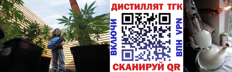 Купить где  Осташков  ТГК THC oil 