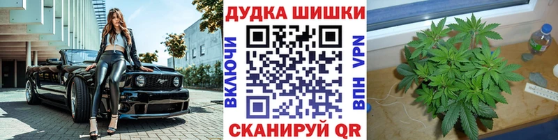Конопля индика  Купить закладки  Осташков 